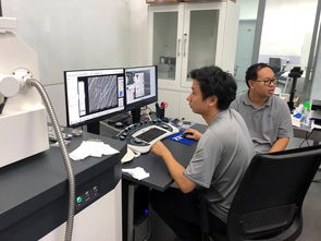 公共技術(shù)服務(wù)中心開展蔡司掃描電鏡培訓(xùn)，提升技術(shù)服務(wù)水平